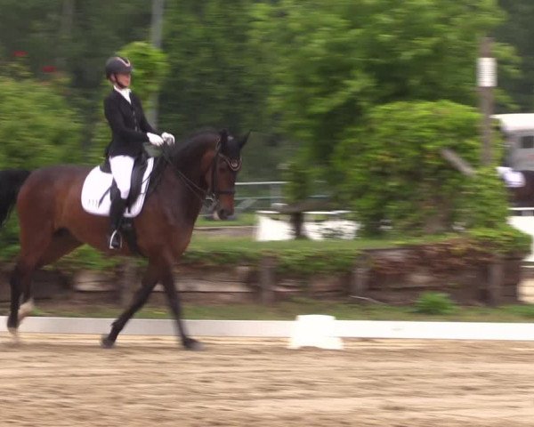 Reitturnier Frechen-Grefrath - Sonnenhof 2022