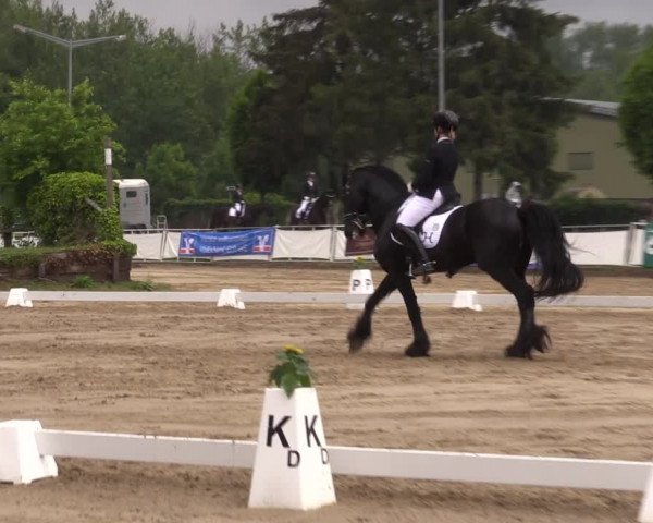 Reitturnier Frechen-Grefrath - Sonnenhof 2022