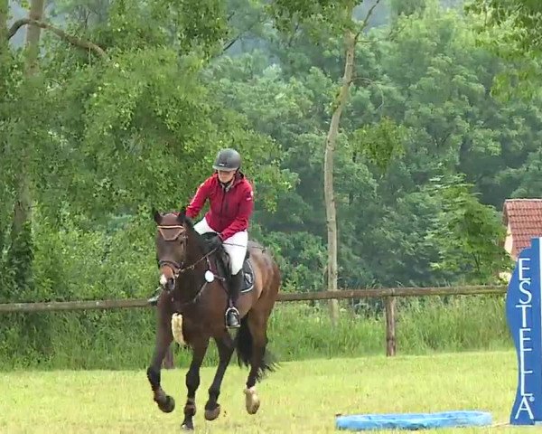 Reitturnier Neustadt/Aisch/Mfr. 2022