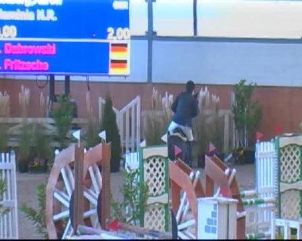 Springpferd Flaminia N.R. (Deutsches Reitpferd, 2005, von Falano N.R.)