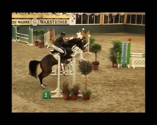 broodmare La Ora (Westphalian, 2002, from Laomedon) broodmare La Ora (Westphalian, 2002, from Laomedon)