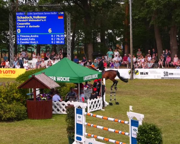 Reitturnier Cottbus-Sielow 2022