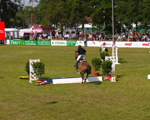 Reitturnier Cottbus-Sielow 2022