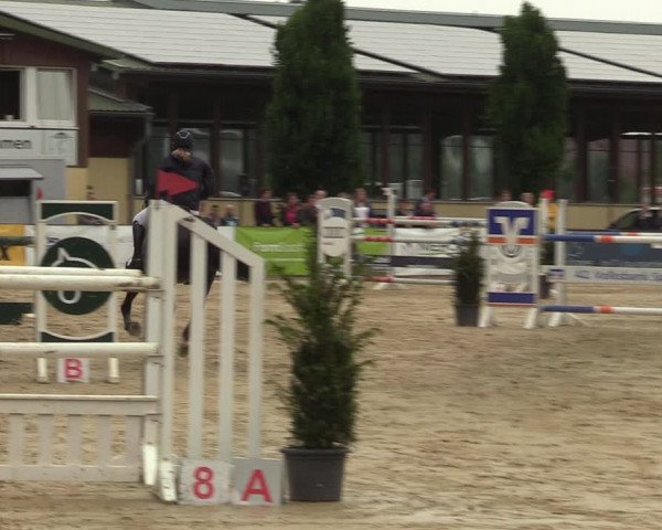 Reitturnier Everswinkel 2022
