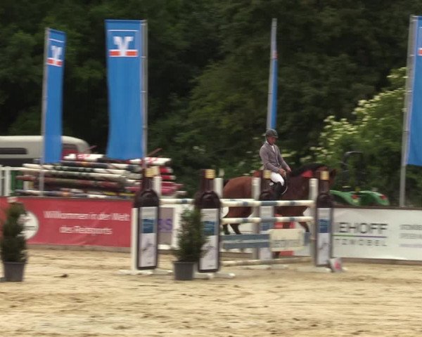 Reitturnier Everswinkel 2022