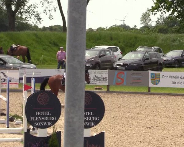 Springturnier Niebüll 2022