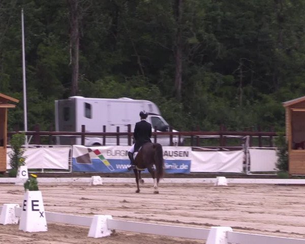 Reitturnier Frechen-Grefrath - Sonnenhof 2022