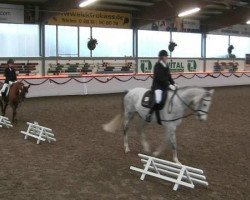 dressage horse Pumuckl's Pferdchen (Rhinelander, 2005)