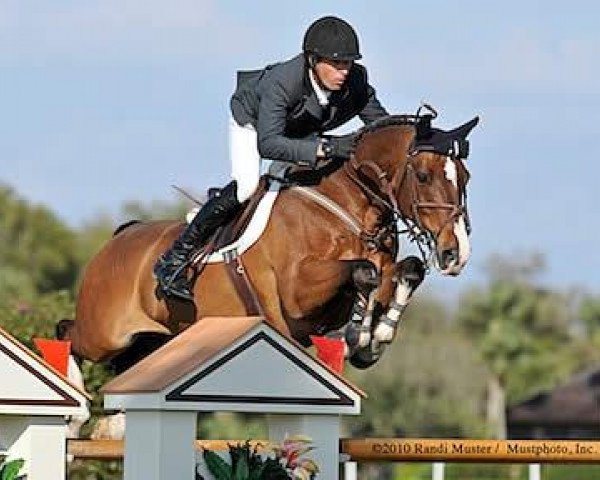 jumper Cristallo (Holsteiner, 1998, from Caretino)