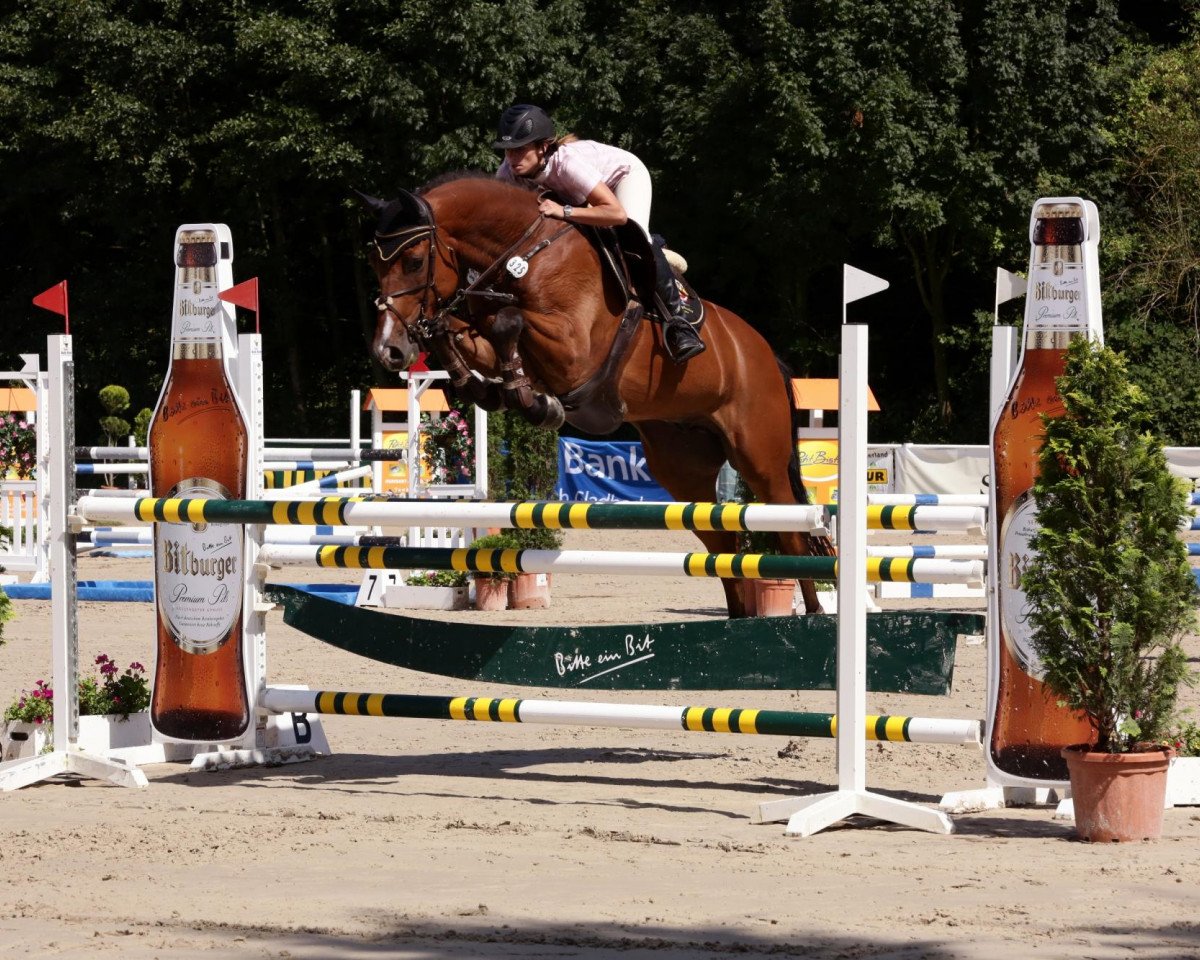 jumper Quintano P (Rhinelander, 2006, from Quidam's Rubin)