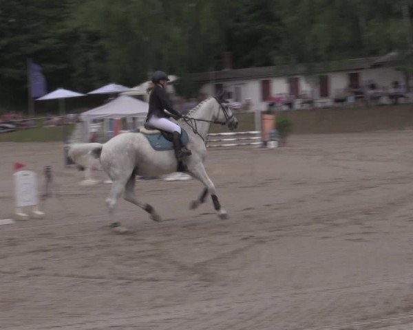 Reitturnier Lgl.-Oberhain, B95 2022