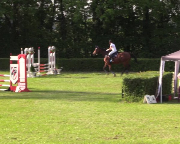 Reitturnier Westeregeln 2022