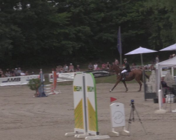 Reitturnier Lgl.-Oberhain, B95 2022