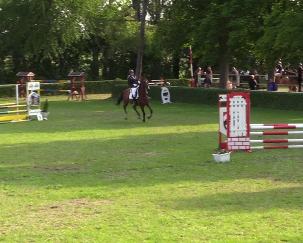 Reitturnier Westeregeln 2022