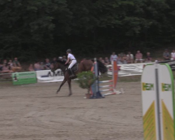 Reitturnier Lgl.-Oberhain, B95 2022