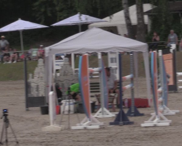 Reitturnier Lgl.-Oberhain, B95 2022