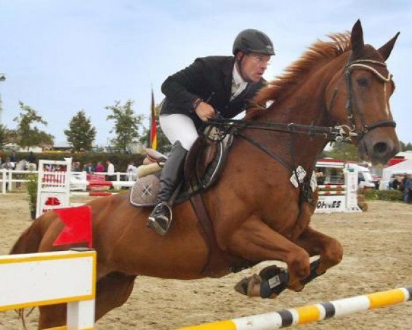 jumper Campusius (Oldenburg, 2005, from Cordalme Z)