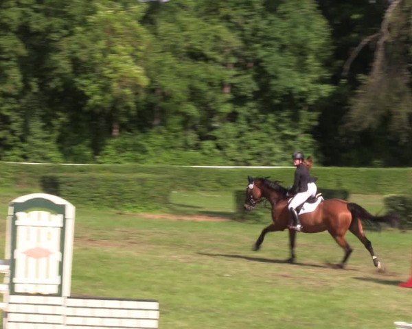 Reitturnier Westeregeln 2022