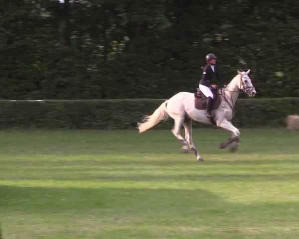 Reitturnier Westeregeln 2022
