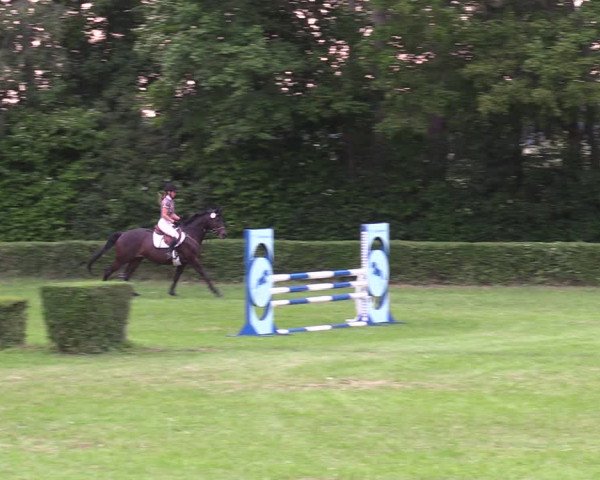 Reitturnier Westeregeln 2022