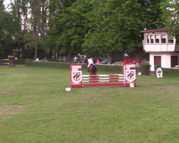 Reitturnier Westeregeln 2022