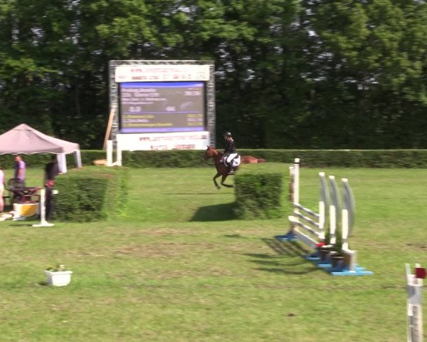 Reitturnier Westeregeln 2022
