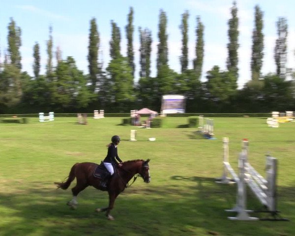 Reitturnier Westeregeln 2022