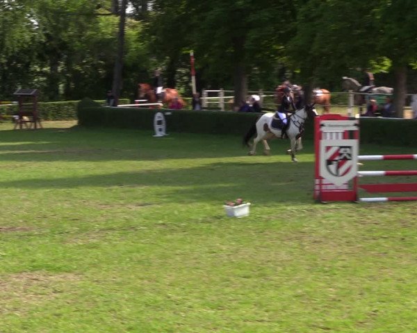 Reitturnier Westeregeln 2022