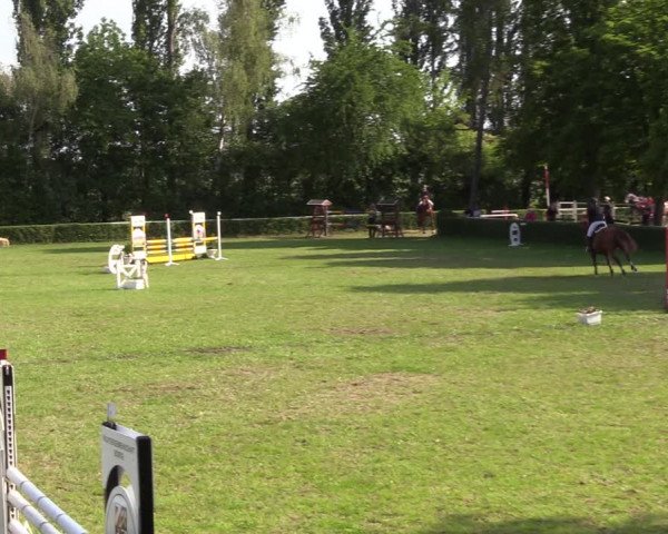 Reitturnier Westeregeln 2022