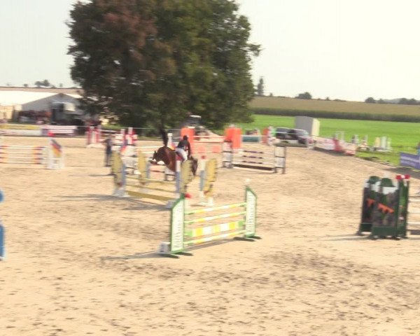 Springreitturnier Hohburg 2021