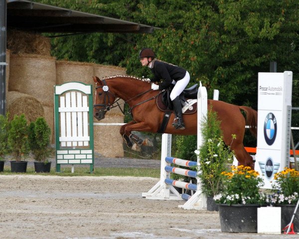 dressage horse Sitania (Westphalian, 2007, from Sid y Cayenne)