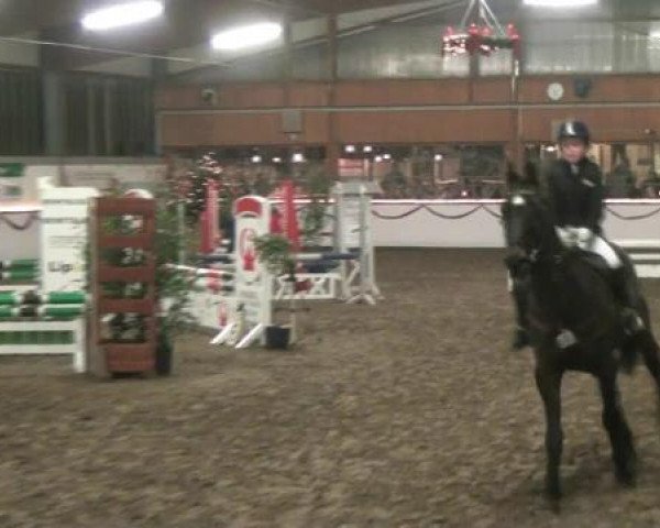 jumper Octopus's Dream xx (Thoroughbred, 1993, from Shardari xx)