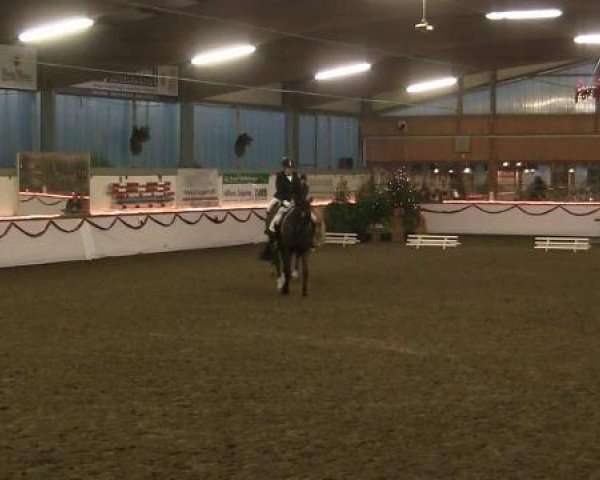 dressage horse Le Beau 28 (Holsteiner, 1996, from Leandro)
