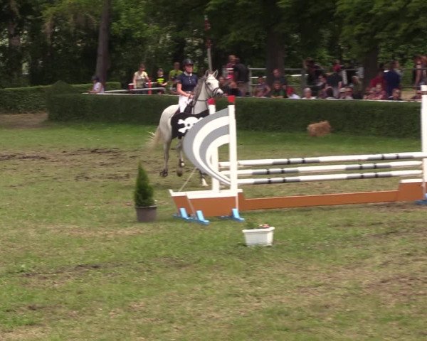 Reitturnier Westeregeln 2022