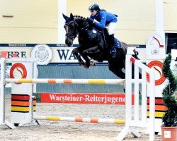jumper Feuerfee 15 (Westphalian, 2004, from Feuerblick)