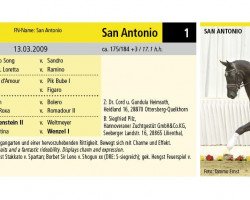 Cavallo da Dressage San Antonio 23 (Hannoveriano, 2009, di San Amour I)