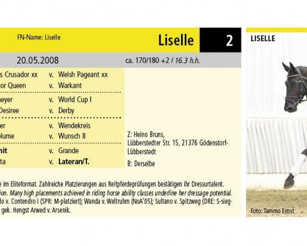 Pferd Liselle 2 (Hannoveraner, 2008, von Locksley II)