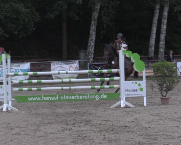 Reitturnier Lgl.-Oberhain, B95 2022