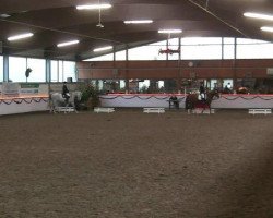 horse Quacks 2 (Hanoverian, 2006)