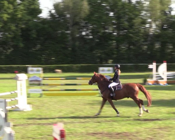 Reitturnier Westeregeln 2022