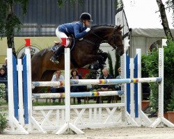 broodmare Rosalie TF (Westphalian, 2006, from Rockwell)