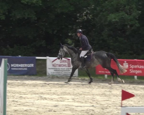 Reitturnier Siegen-Weidenau 2022