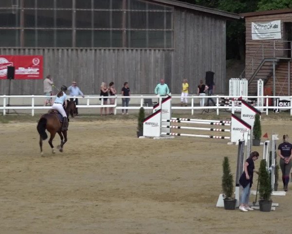 Reitturnier Siegen-Weidenau 2022