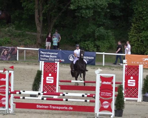 Reitturnier Siegen-Weidenau 2022