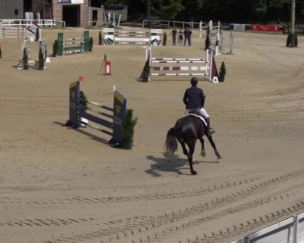 Reitturnier Siegen-Weidenau 2022