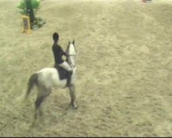 broodmare Altana (Rhinelander, 2003, from Acorado's Ass)