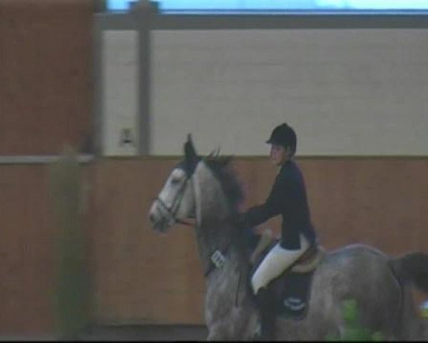jumper Lamiro K (Rhinelander, 2003, from Lanero NRW)