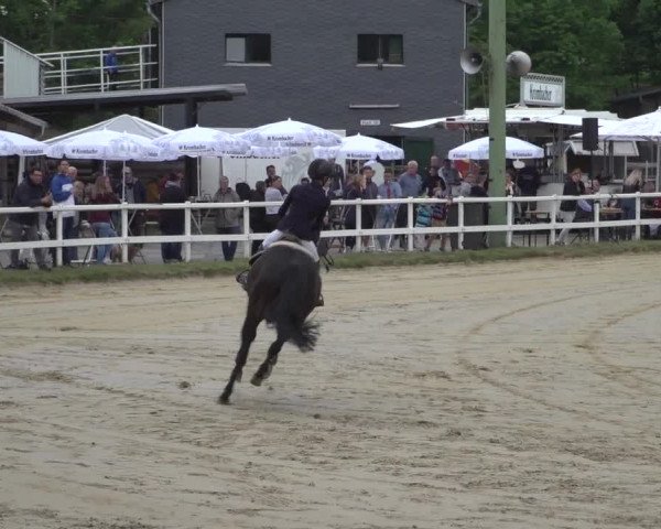 Reitturnier Siegen-Weidenau 2022