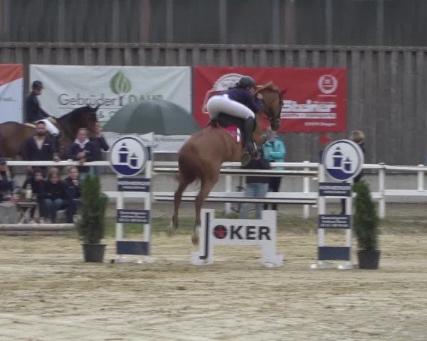 Reitturnier Siegen-Weidenau 2022