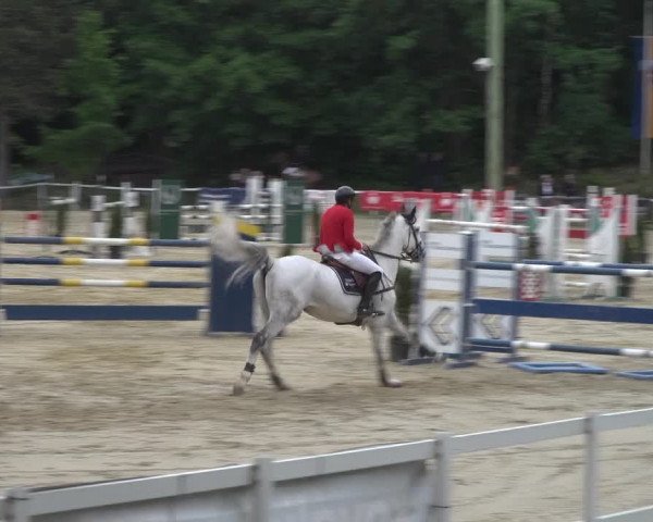 Reitturnier Siegen-Weidenau 2022